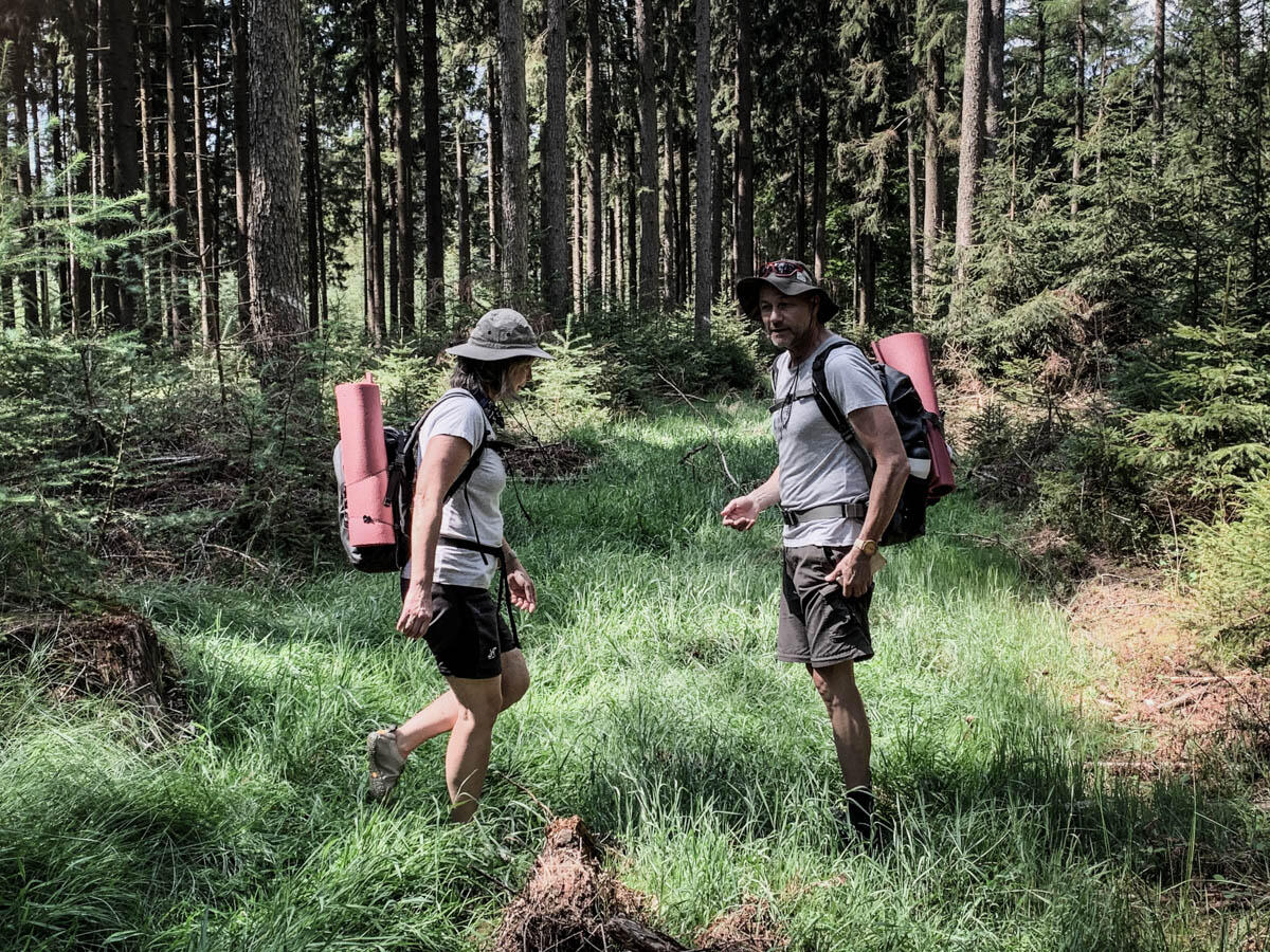 Walbaden im Heilbronner und Hohenloher Wald